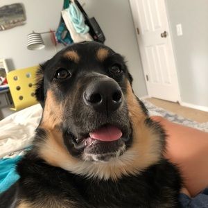 Meet your Posher, Ella